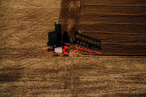  © Фото с сайта DTF