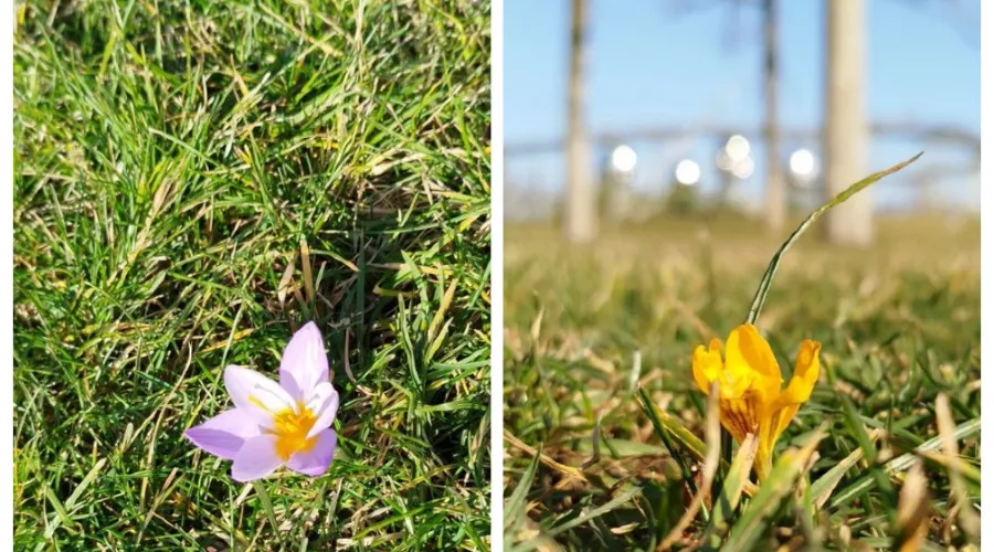  &copy;&nbsp;Скриншот из телеграм-канала парка &laquo;Краснодар&raquo; https://t.me/parkkrd/3485