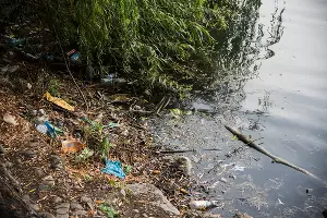  &copy;&nbsp;Фото Елены Синеок, Юга.ру