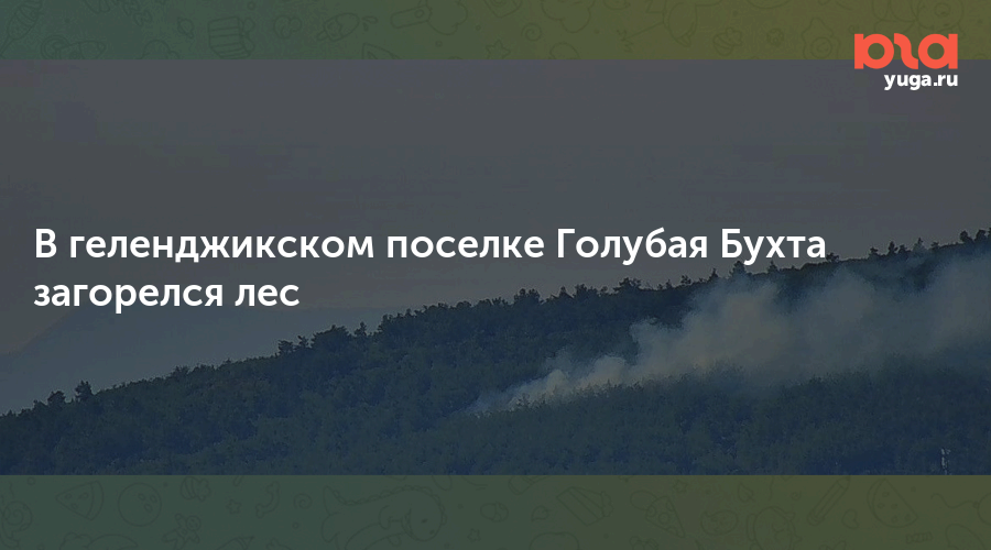 В геленджикском поселке Голубая Бухта загорелся лес