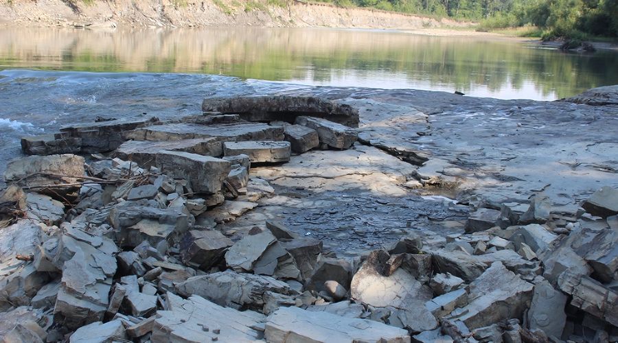 Река Пшеха © Фото пресс-службы Палеонтологического института имени А.А. Борисяка РАН