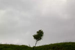  &copy;&nbsp;Фото Влада Александрова, Юга.ру