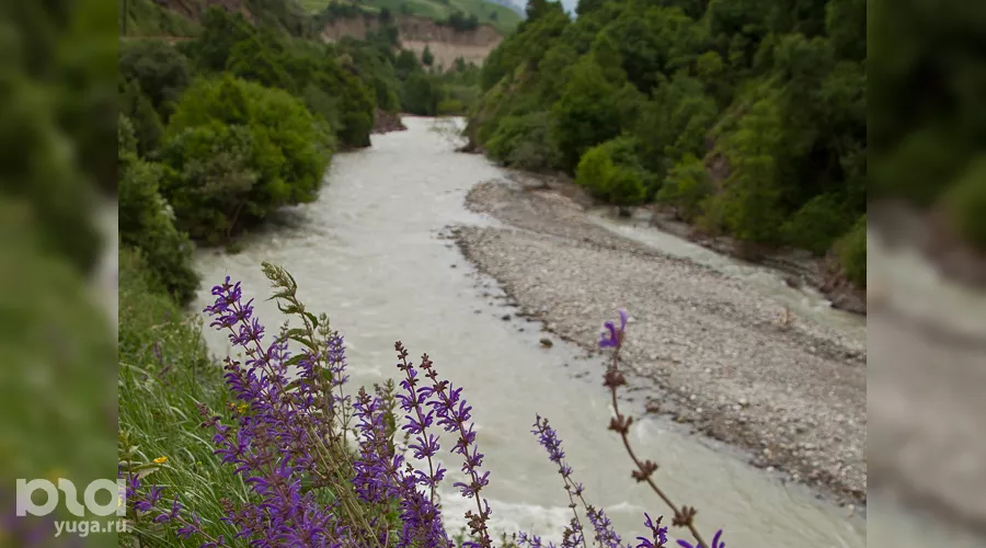  &copy;&nbsp;Фото Влада Александрова, Юга.ру