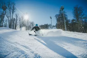  &copy;&nbsp;Фото пресс-службы &laquo;Розы Хутор&raquo;