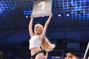 Четвертый этап серии турниров ММА Tech-KREP FC: Prime Selection 2015 в Краснодаре &copy;&nbsp;Елена Синеок, ЮГА.ру