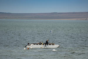 Раскопки в Фанагории © Фото Елены Синеок, Юга.ру