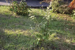  &copy;&nbsp;Фото пресс-службы Сочинского национального парка