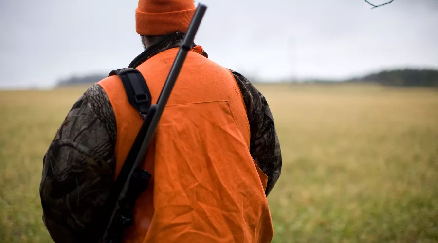  &copy;&nbsp;Фото Matthew Maaskant, unsplash.com