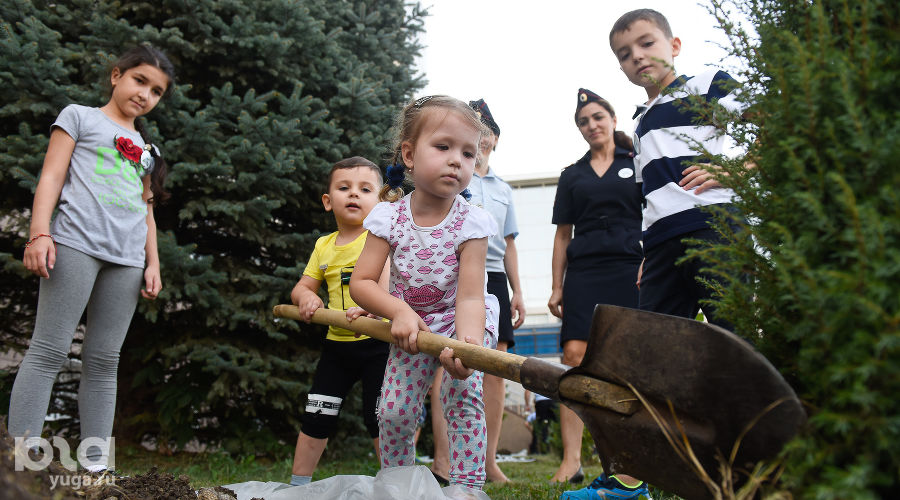  © Фото Елены Синеок, Юга.ру