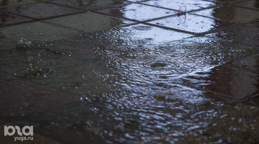  &copy;&nbsp;Фото Елены Синеок, Юга.ру