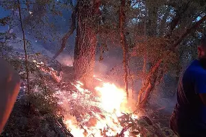  &copy;&nbsp;Фото из инстаграма начальника МБУ ПАСС &laquo;Служба спасения&raquo; Новороссийска Алексея Одерова, instagram.com/alekseioderov/