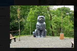  &copy;&nbsp;Скриншот фото из телеграм-канала &laquo;Сочи Официальный&raquo;