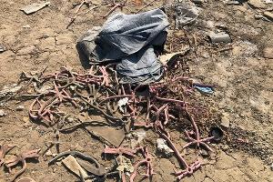  © Фото Антона Быкова, Юга.ру