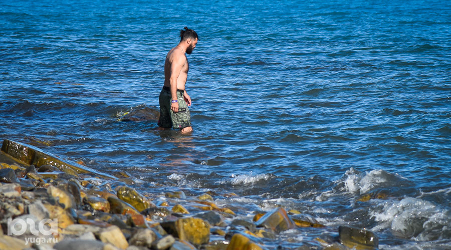  © Фото Елены Синеок, Юга.ру