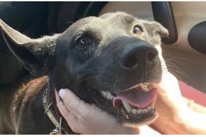  © Скриншот с сайта www.change.org