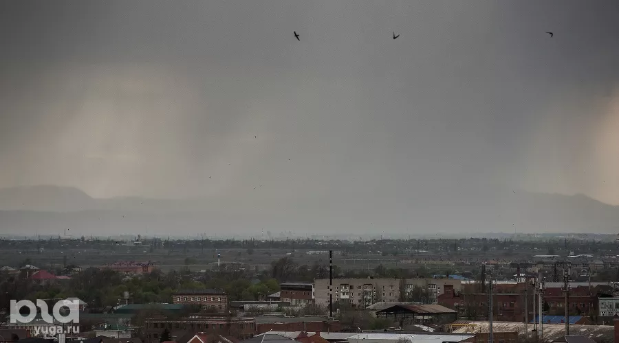  &copy;&nbsp;Фото Елены Синеок, Юга.ру