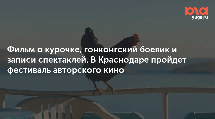 Фильм о курочке, гонконгский боевик и записи спектаклей. В Краснодаре пройдет фестиваль авторского кино