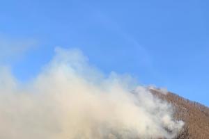  &copy;&nbsp;Фото пресс-службы Сочинского нацпарка