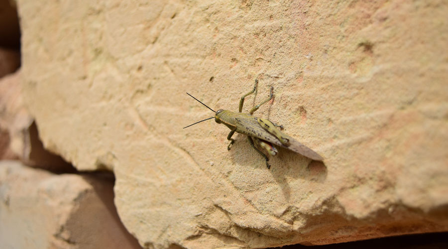  © Фото пользователя wirestock с сайта freepik.com