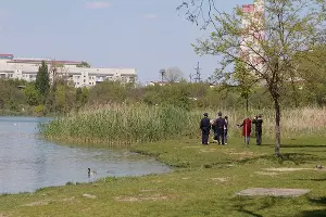  &copy;&nbsp;Фото пресс-службы администрации Краснодара