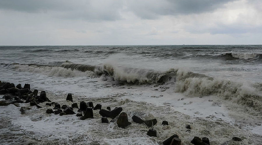  © Фото Нины Зотиной, Юга.ру