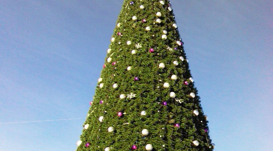 Торжественное открытие елки в Майкопе &copy;&nbsp;Елена Малышева