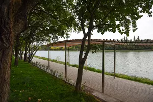 Дмитриевский сквер &copy;&nbsp;Фото Елены Синеок, Юга.ру