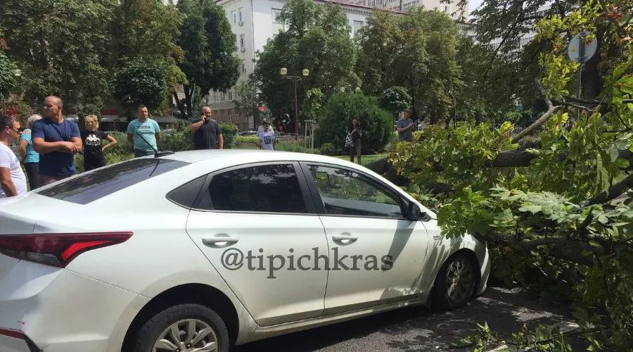  &copy;&nbsp;Скриншот видео из телеграма &laquo;Телетайп Краснодара&raquo;, t.me/tipichkras