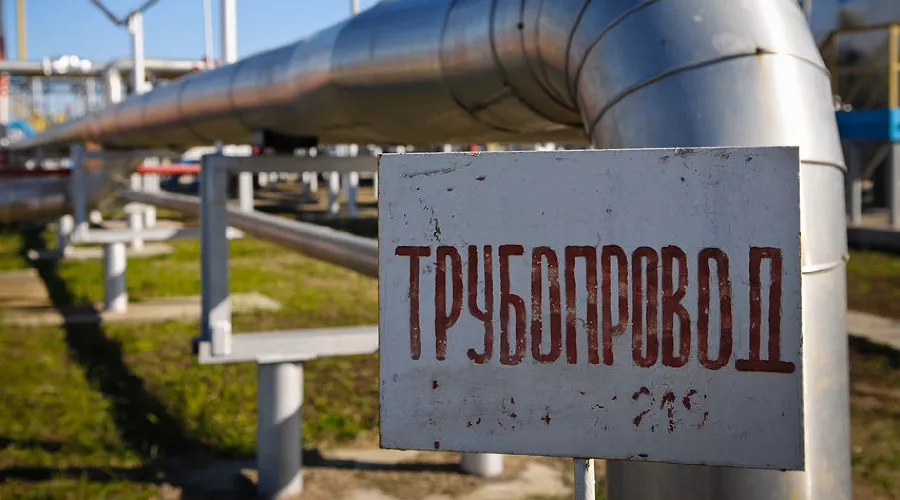  &copy;&nbsp;Фото Елены Синеок, Юга.ру