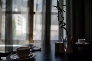 "Олимпийский" отель Radisson Роза Хутор &copy;&nbsp;Нина Зотина, ЮГА.ру
