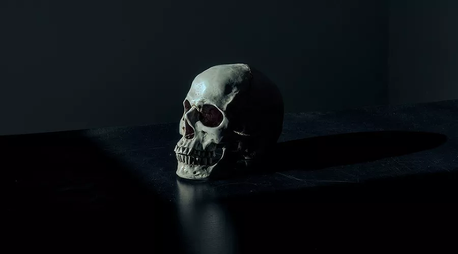  &copy;&nbsp;Фото с сайта pixabay.com