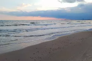  &copy;&nbsp;Фото Антона Быкова, Юга.ру