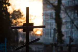  &copy;&nbsp;Елена Синеок, Юга.ру