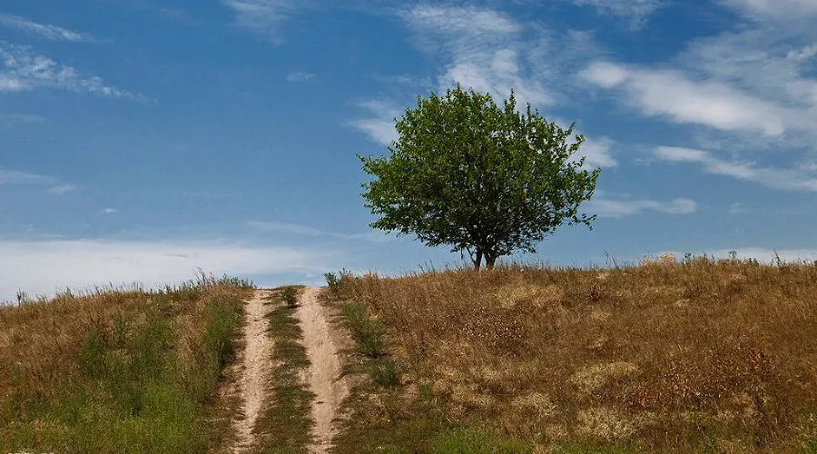  &copy;&nbsp;Влад Александров, ЮГА.ру