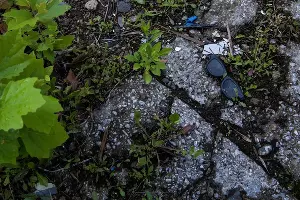  &copy;&nbsp;Фото со страницы Владимира Вербицкого в фейсбуке, facebook.com/vladimir.verbitskiy