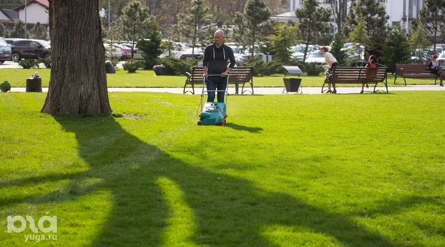  &copy;&nbsp;Фото Елены Синеок, Юга.ру