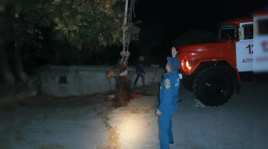  &copy;&nbsp;Фото пресс-службы ГУ МЧС РФ по Республике Крым