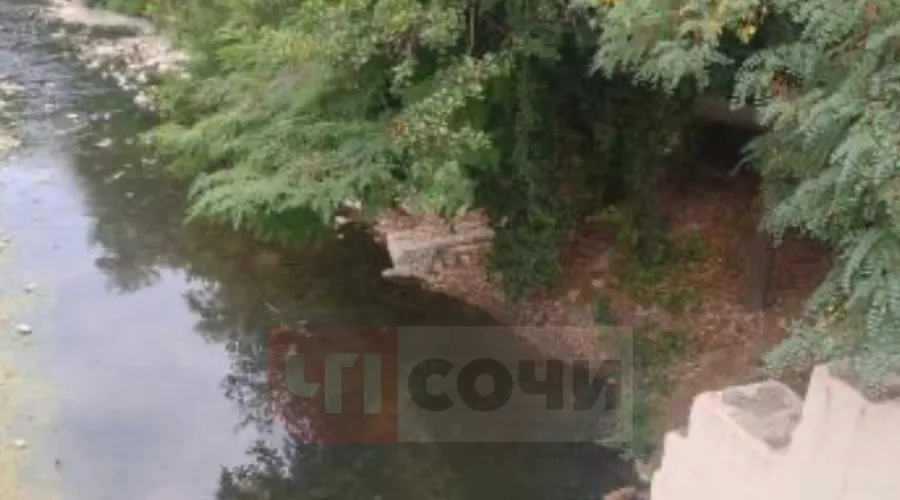  &copy;&nbsp;Фото из паблика ЧП Сочи во "ВКонтакте", vk.com/chpsochi