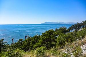  &copy;&nbsp;Фото Victoria Balobanova, freepik.com