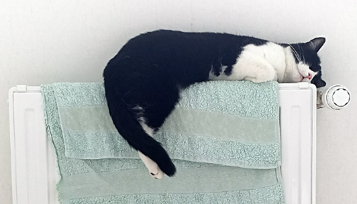 В Краснодарском крае мошенники рассылают смс о возврате переплаты за отопление