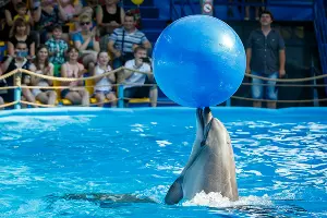  &copy;&nbsp;Николай Ильин, ЮГА.ру