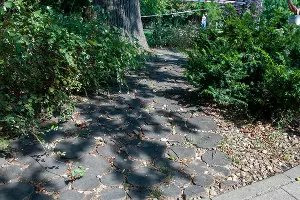  &copy;&nbsp;Фото Дмитрия Пославского, Юга.ру