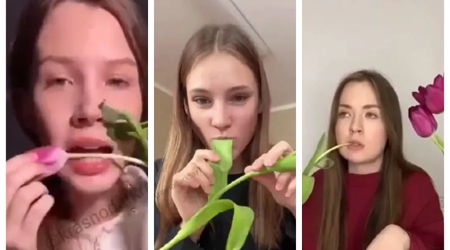  &copy;&nbsp;Скриншот из телеграм-канала &laquo;Краснодар и край&raquo; https://t.me/krasnodarkray1/51380