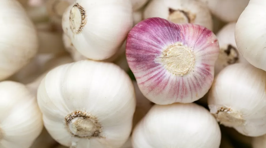  &copy;&nbsp;Фото PublicDomainPictures с сайта pixabay.com