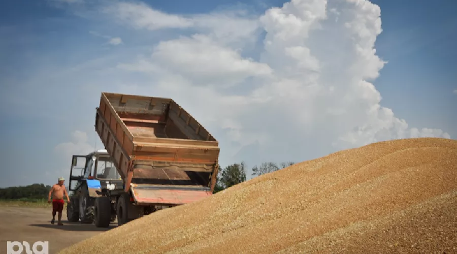 Уборка урожая &copy;&nbsp;Елена Синеок. ЮГА.ру