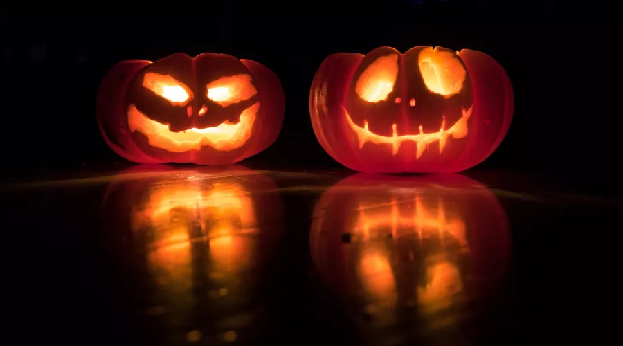  &copy;&nbsp;Фото David Menidrey, unsplash.com