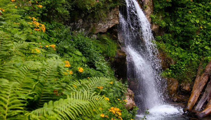 Парк водопадов «Менделиха» &copy;&nbsp;Фото Марины Солошко, Юга.ру