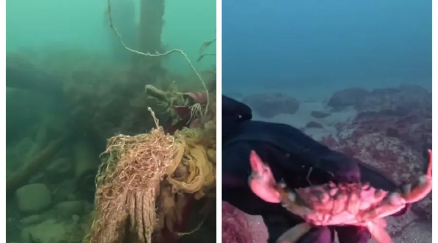  &copy;&nbsp;Скриншоты видео дайвера Юрия Кашина