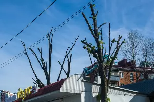  &copy;&nbsp;Фото Евгения Мельченко, Юга.ру