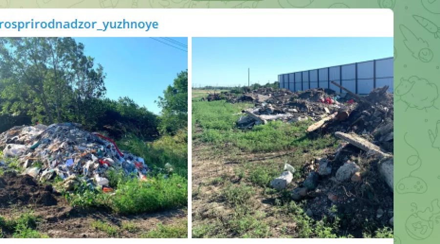  &copy;&nbsp;Скриншот из телеграм-канала Южного управления Росприроднадзора, t.me/rosprirodnadzor_yuzhnoye